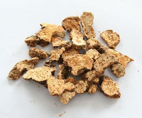 蒼術(shù)(北蒼術(shù)) ATRACTYLODIS RHIZOMA