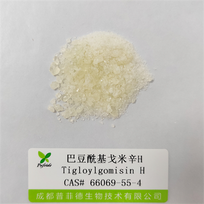 巴豆?；昝仔罤|66069-55-4
